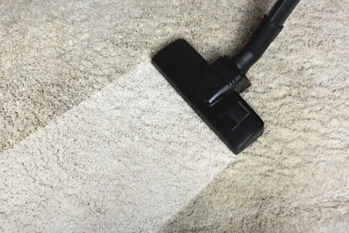Professional carpet cleaning